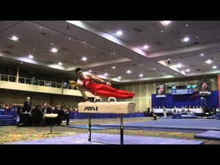 Sean Melton - Pommel Horse - 2014 Winter Cup Challenge Finals