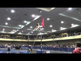 Alec Robin - High Bar - 2014 Winter Cup Challenge Finals