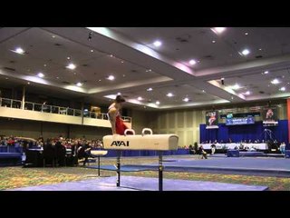 Davis Grooms - Pommel Horse - 2014 Winter Cup Challenge Finals