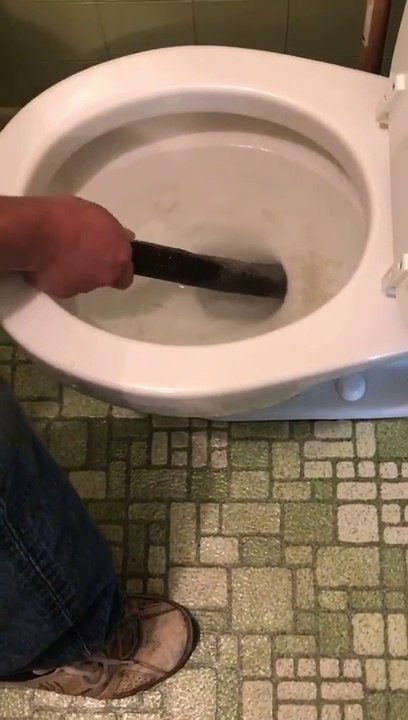 Il extirpe un python de 3m de la cuvette des toilettes...