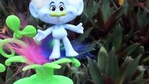 Anna and Elsa Toddlers Trolls Adventure # 1 Frozen Poppy Coronation Dolls Dreamworks Toys In Action
