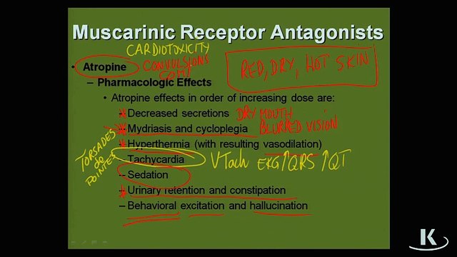 Pharmcology Sistema Autónomo Chapter 2 Part 3 Muscarinic Receptors Antagonist