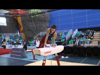 Marty Strech - Pommel Horse - 2014 Pacific Rim Championships Team/AA Final