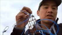 HOW TO CATCH DUNGENESS CRAB IN SAN FRANCISCO