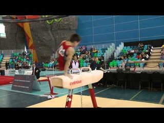 Davis Grooms - Pommel Horse - 2014 Pacific Rim Championships Team/AA Final