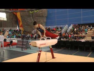 Davis Grooms - Pommel Horse - 2014 Pacific Rim Championships Event Finals