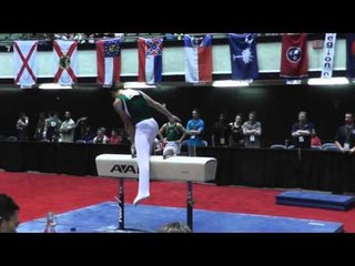 Marty Strech - Pommel Horse - 2014 Men's Junior Olympic National Championships