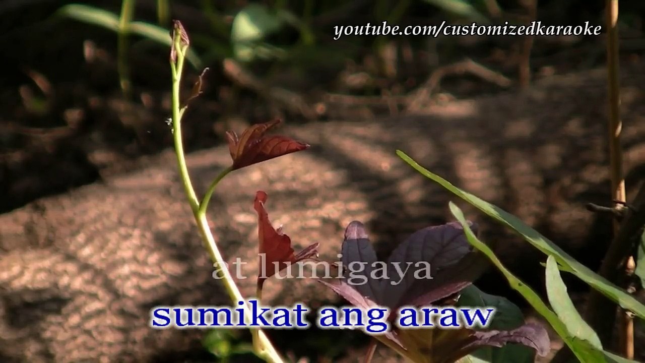 Kahit Isang Saglit KARAOKE HD