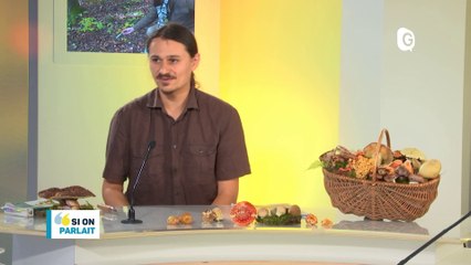 SI ON PARLAIT - 27 SEPTEMBRE 2017 - Si On Parlait - TéléGrenoble
