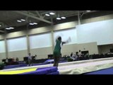 Garrett Wheeler - Tumbling Finals Pass 2 - 2014 USA Gymnastics Championships