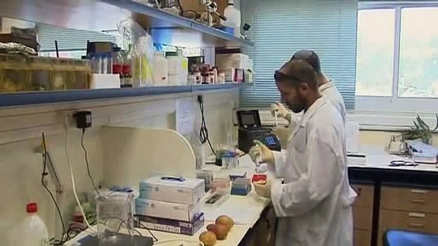 Potato battery new and improved Video Reuters