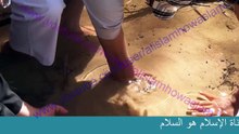 عيون موسى عليه السلام