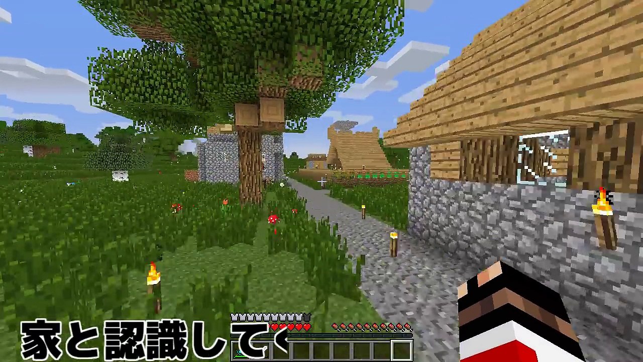 【マインクラフト】村長を虫の世界に送り込んでみた:Part9【実況プレイ】