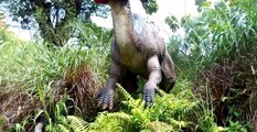 Petualangan Dinosaurus - Taman Legenda Keong Emas
