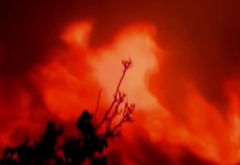 Un incendio forestal se registró en California, EE.UU.