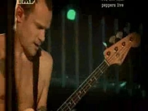 Red Hot Chili Peppers live mtv intro+can't stop