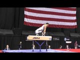 Donothan Bailey - Pommel Horse - 2014 P&G Championships - Sr. Men Day 2