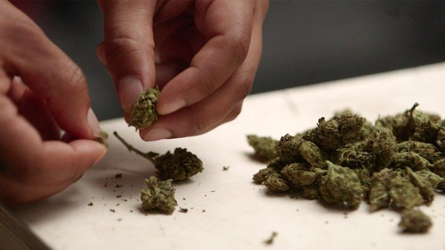 How to Treat Weed Dealers, According to a Weed Dealer