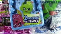 Blind Bags Shopkins 2 pack Mystery Playmobil Series 6 Surprise Mcdonalds Happy Meal Toy Mario Kart