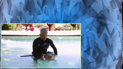 Cesar 911 S02E03 Caged and Confused
