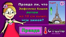 Правда или Ложь ? ТЕСТЫ для ДЕТЕЙ от бабушки Шошо !