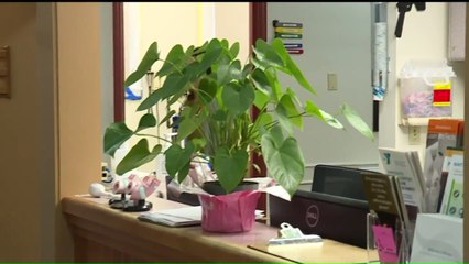 Washington State County Reports Dramatically Rising STD Rates