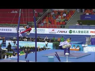2014 World Gymnastics Championships - Men's Qualifying - Great Britain - High Bar