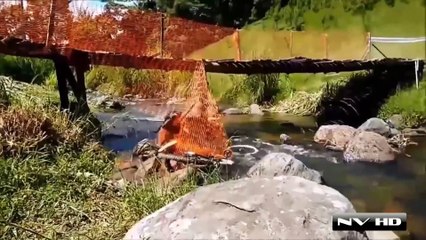 NVHD Presents  Street Troller