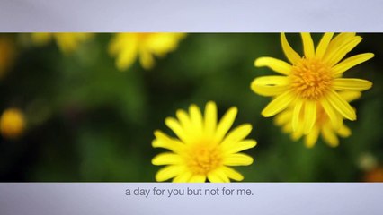 Ecocentricity Blog: Native American Wisdom | Ray C. Anderson Foundation