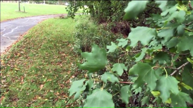 Kickboxing Instructor Turns the Tables on Would-Be Abductor in Kansas