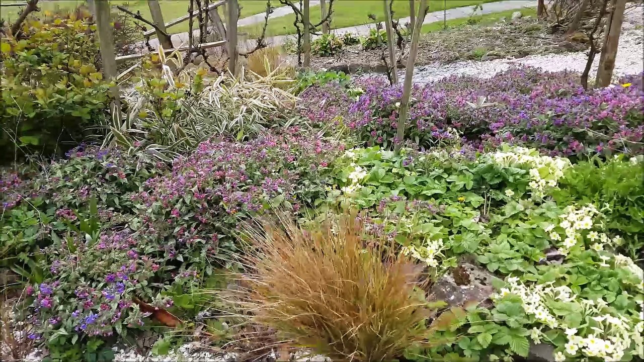 Pines Garden