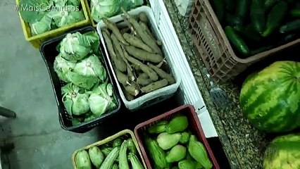 Ceasa Campinas doa alimentos p creches e asilos