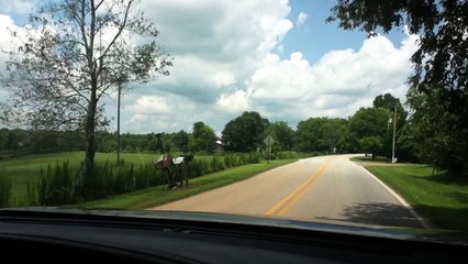 Z57 presents driving through the countryside