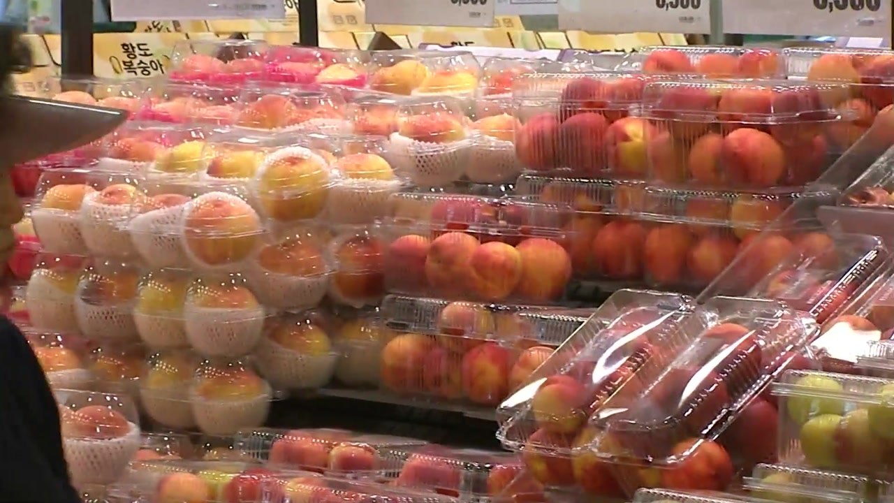 추석 앞두고 물가 2.1%↑...과일값 급등 / YTN