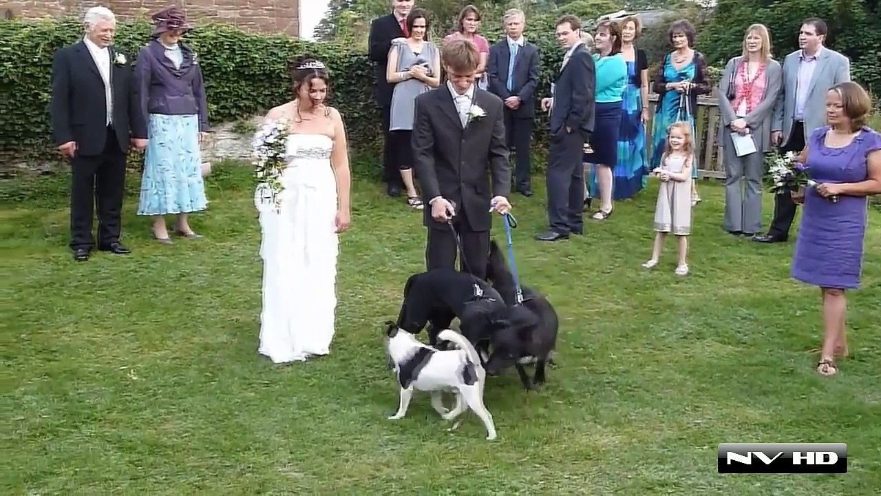 Wedding Fails Compilation