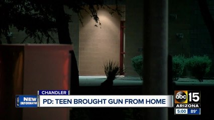 Teen brings gun, ammo to Valley school