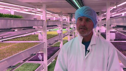 Underground air-raid shelter feeding London restaurants