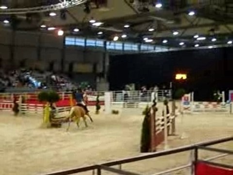 Saut d'obstacle cheval