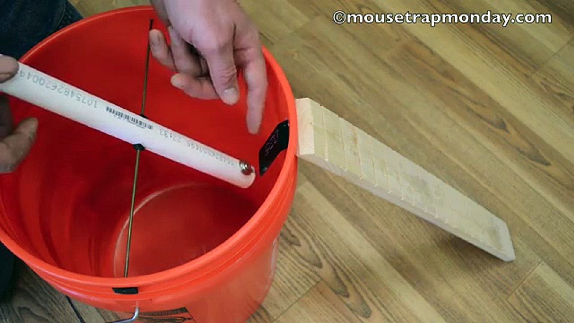 Teeter Totter Bucket Mouse Trap In Action With Motion Cameras Mousetrapmonday Video Dailymotion