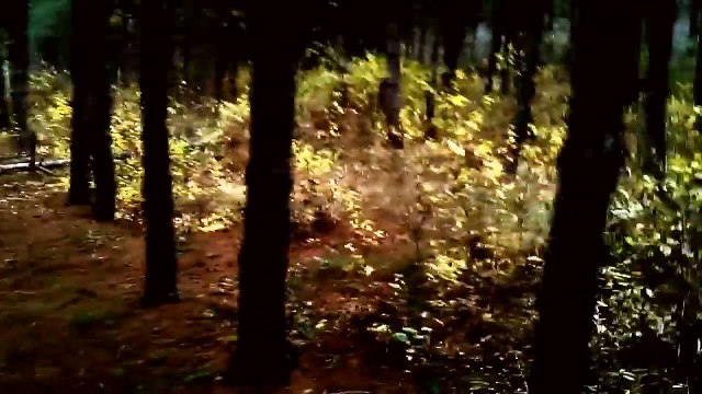 Slenderman - Full short ( Teljes film ) new (az első magyar Slender man film)