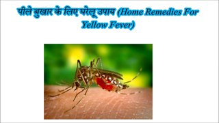 पीले बुखार के लिए घरेलू उपाय (Home Remedies For Yellow Fever)