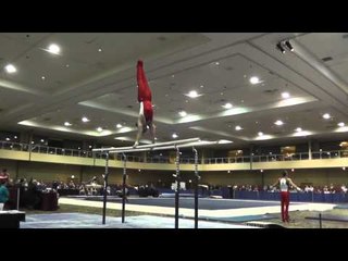 Christian Kalustian - Parallel Bars - 2015 Winter Cup Prelims