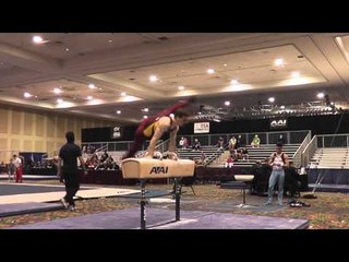 Ellis Mannon - Pommel Horse - 2015 Winter Cup Prelims