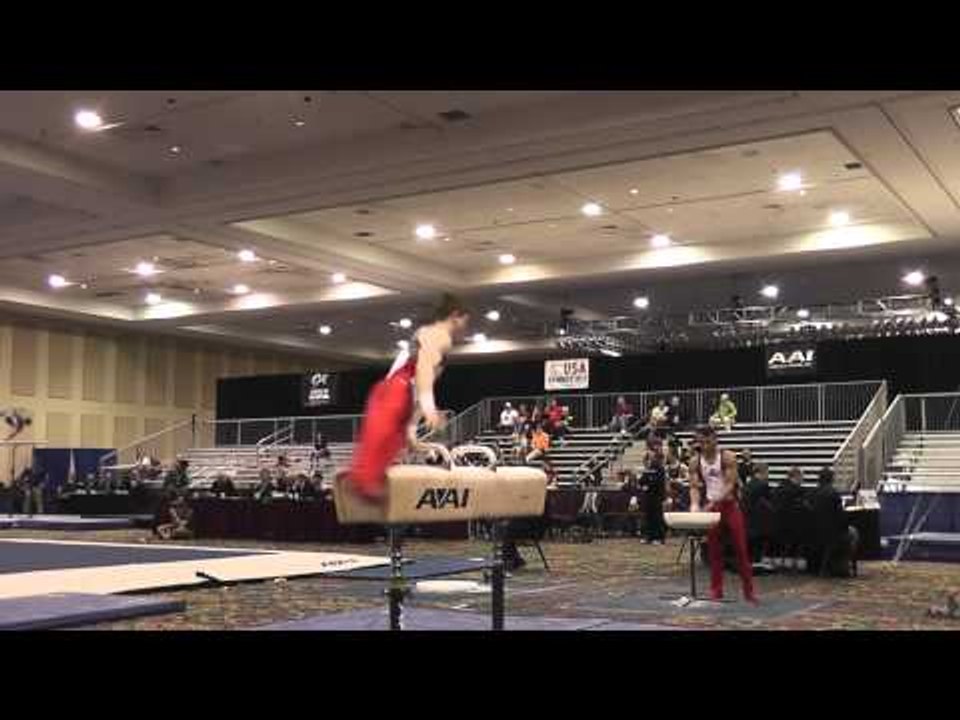 Alexander Wilson - Pommel Horse - 2015 Winter Cup Prelims