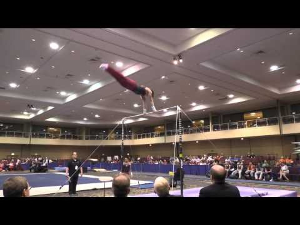 Brian Knott – High Bar – 2015 Winter Cup Prelims