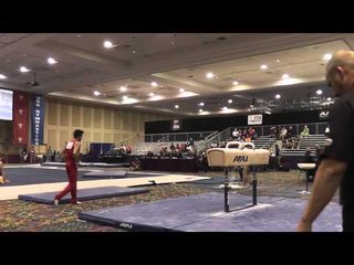 Yul Moldauer - Pommel Horse - 2015 Winter Cup Prelims
