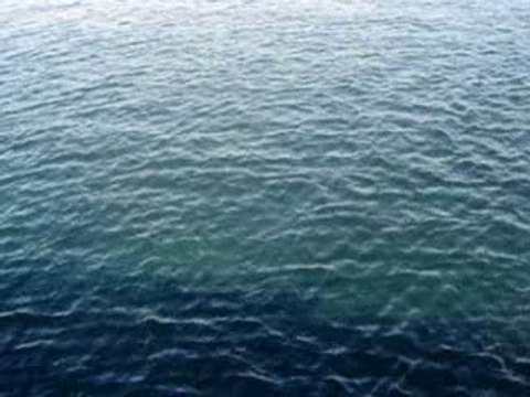 Rorqual à Tadoussac sur le fleuve Saint Laurent