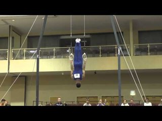 Danell Leyva – Still Rings – 2015 Winter Cup Prelims