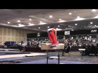 Alec Yoder - Pommel Horse - 2015 Winter Cup Prelims