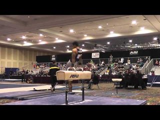 Trevor Howard - Pommel Horse - 2015 Winter Cup Prelims